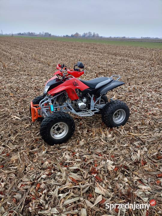 Quad ATV Lyda203e eagle kupiony w Polsce Motoryzacja Teresin