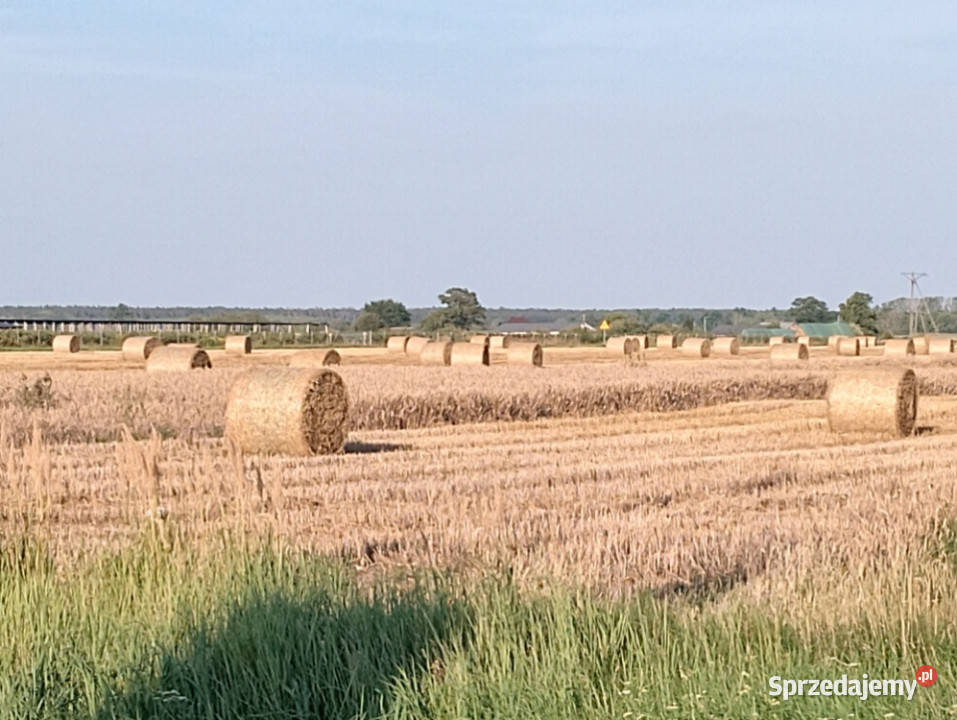 Sprzedam zamienię nowy dom pod Łodzią Rokiciny