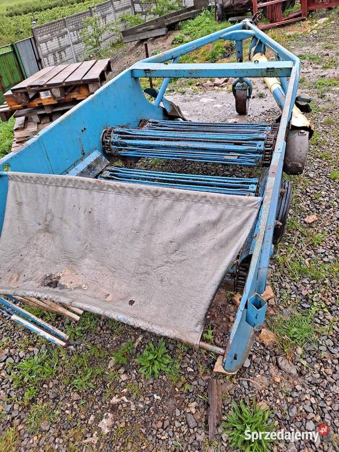 Kopaczka elewatorowa nowa Nowa Słupia sprzedam