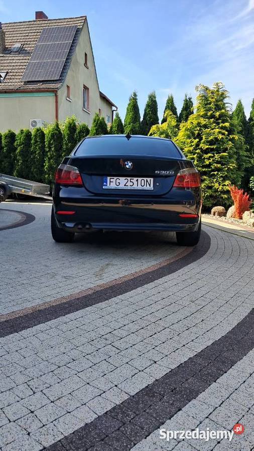 BMW 530D E57 światła przeciwmgielne Seria 5