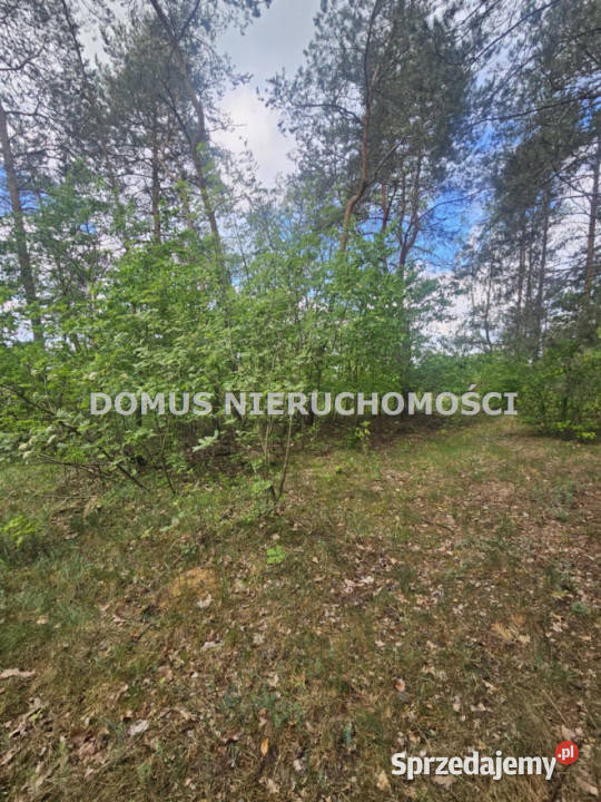 Grunt Brzeziny 2096m2 sprzedam