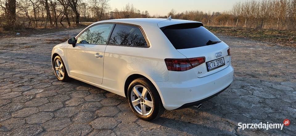 Audi A3 16 TDI 105 6 biegów 167 Łęg Tarnowski