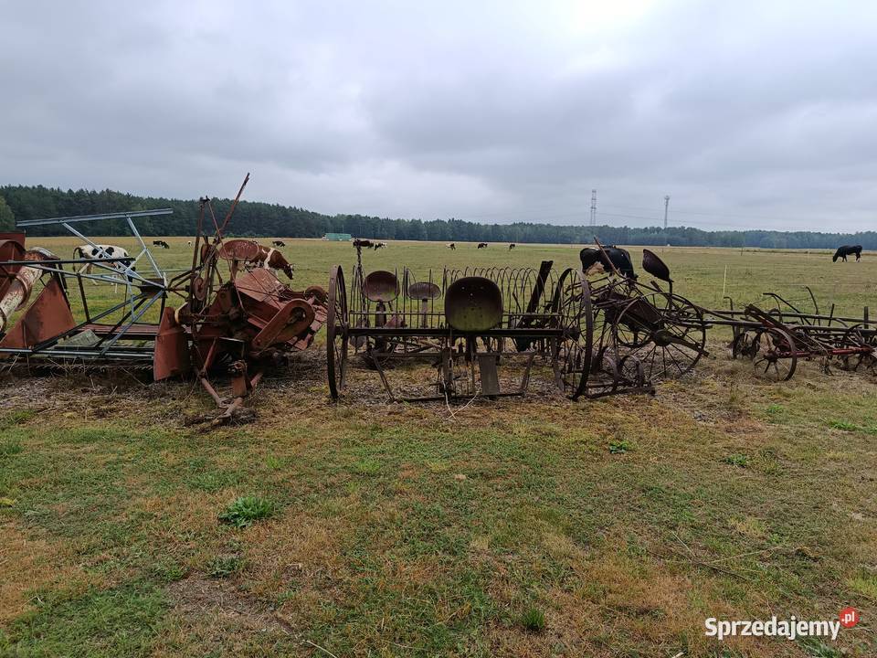 Zabytkowe maszyny i urządzenia rolne Grabów nad Pilicą sprzedam