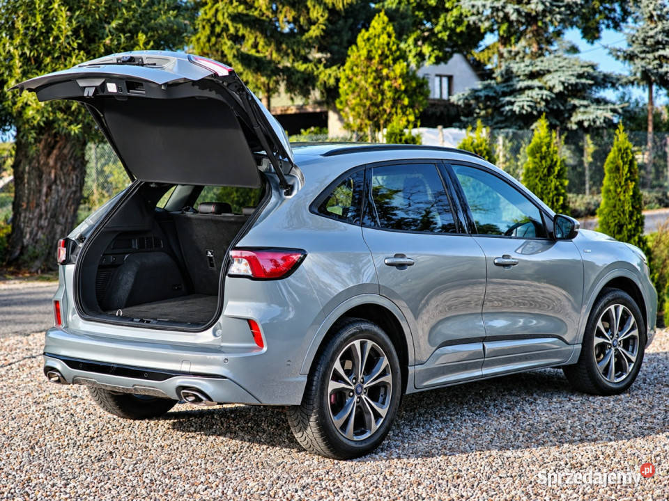 Ford Kuga III 2019 Sadlno sprzedam