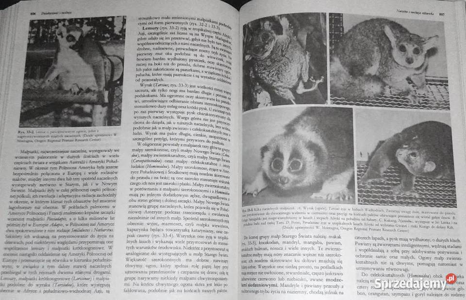 Biologia Claude A Villee Chełm sprzedam