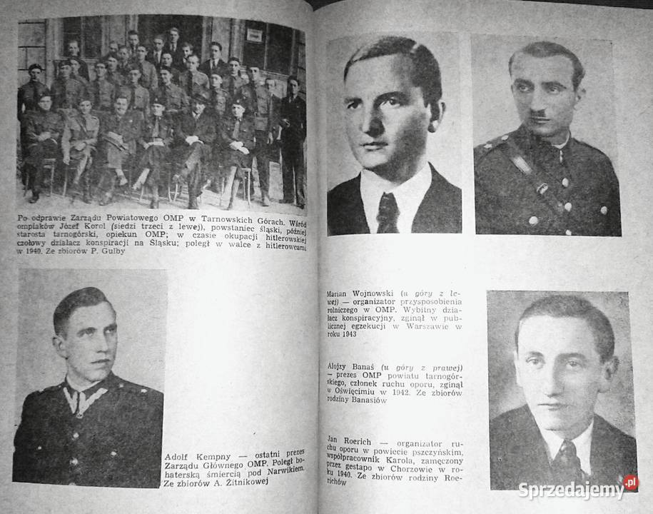 Do Powstańców Śląskich młodych zaciągają Pozostałe