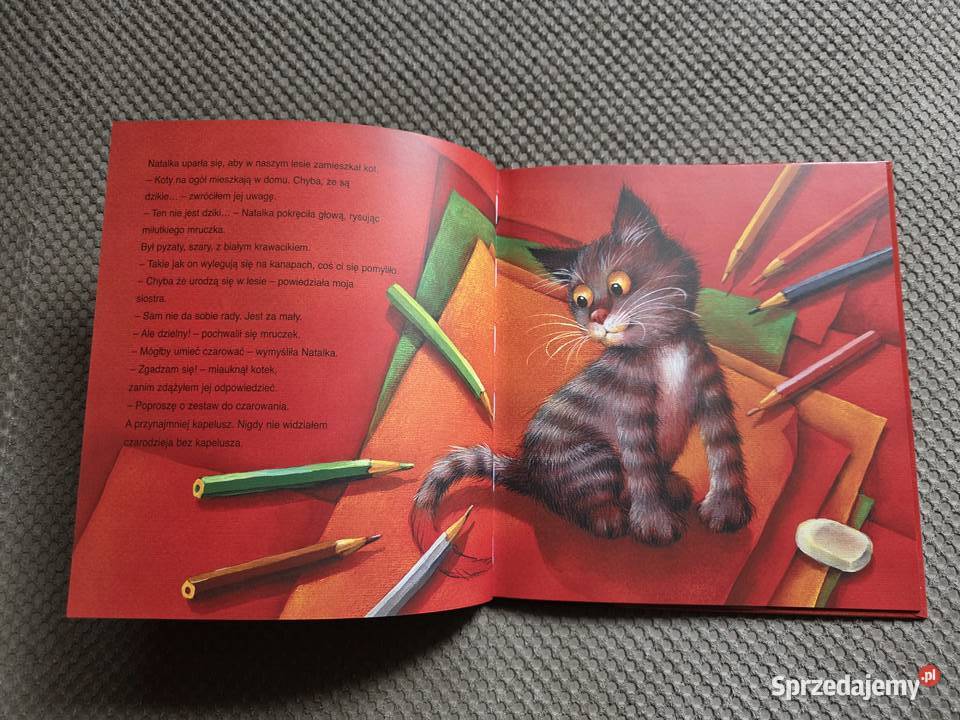 O kocie który został czarodziejem AOnichimowska Książki dla dzieci