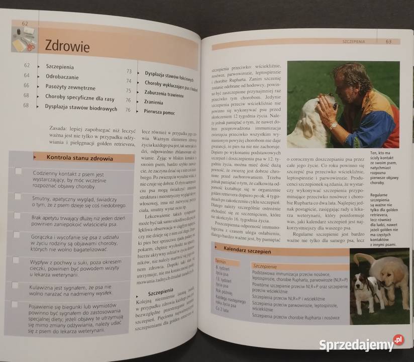 Golden retriever Poradnik opiekuna Becker Bełchatów sprzedam