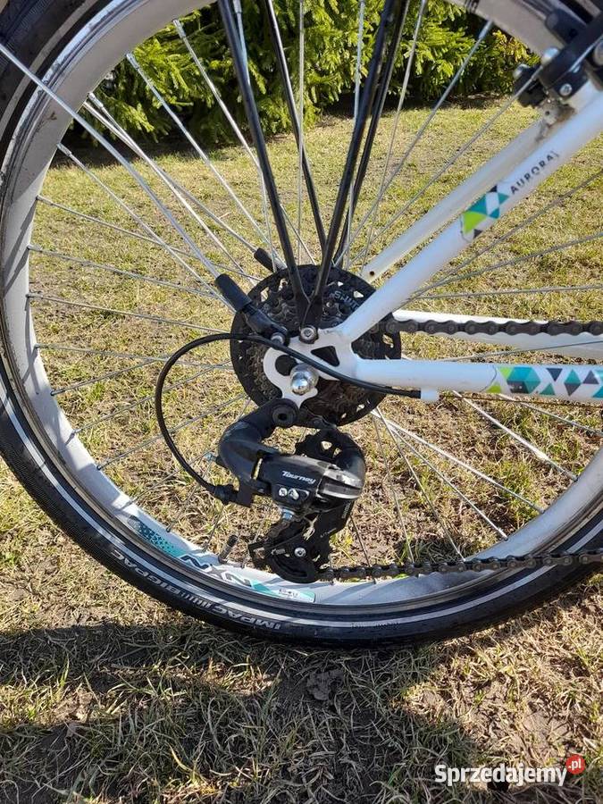 Rower noxon 24cale Krotoszyn