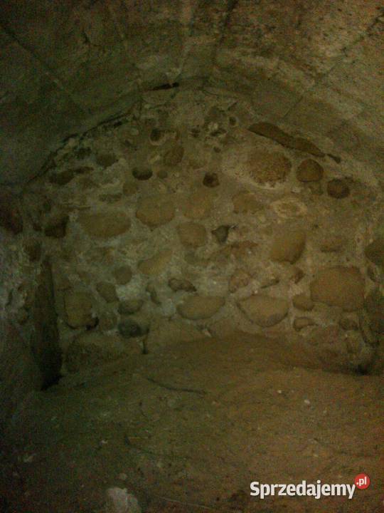 Działka siedlisko Ciechanowiec