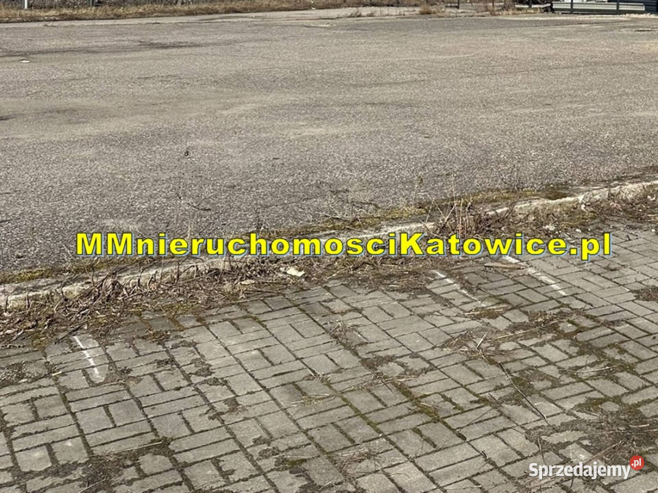 Hala wolnostojąca do wynajęcia Mysłowice plac parking Wynajem sprzedam