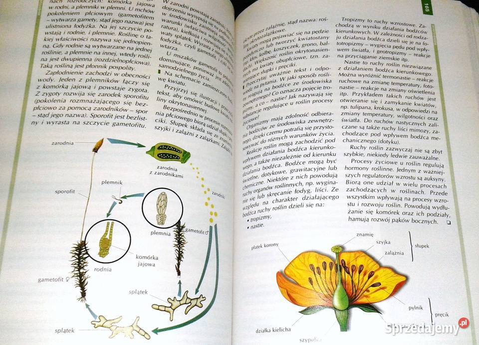 Biologia 1 A Kornaś Z Miszalski M Kłyś R Pozostałe Chełm sprzedam