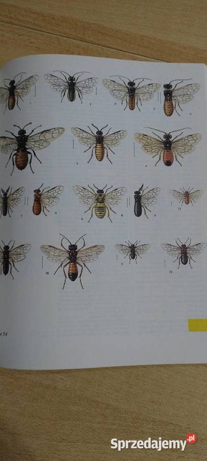 Świat zwierząt Wydanie 3 lubelskie Lublin