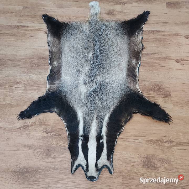 Skóra Naturalna BORSUK Skóra Dekoracyjna z Szaflary