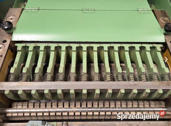 Grubościówka Casadei R 51 510 Wejherowo