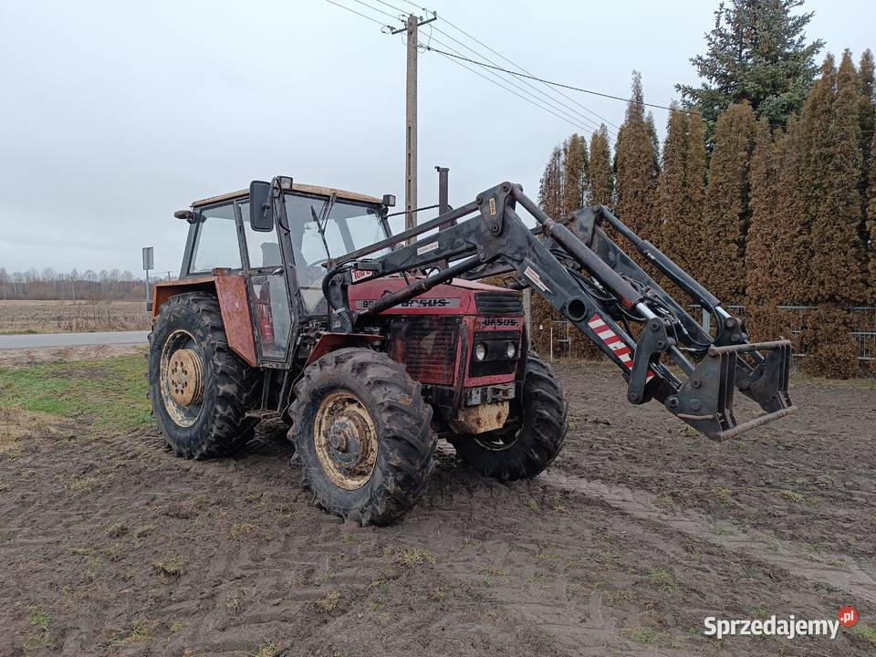 URSUS 904 TURBO Jagodniki