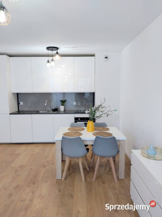 DO WYNAJĘCIA DUŻE MIESZKANIE KRAKÓW PODGÓRZE małopolskie Kraków