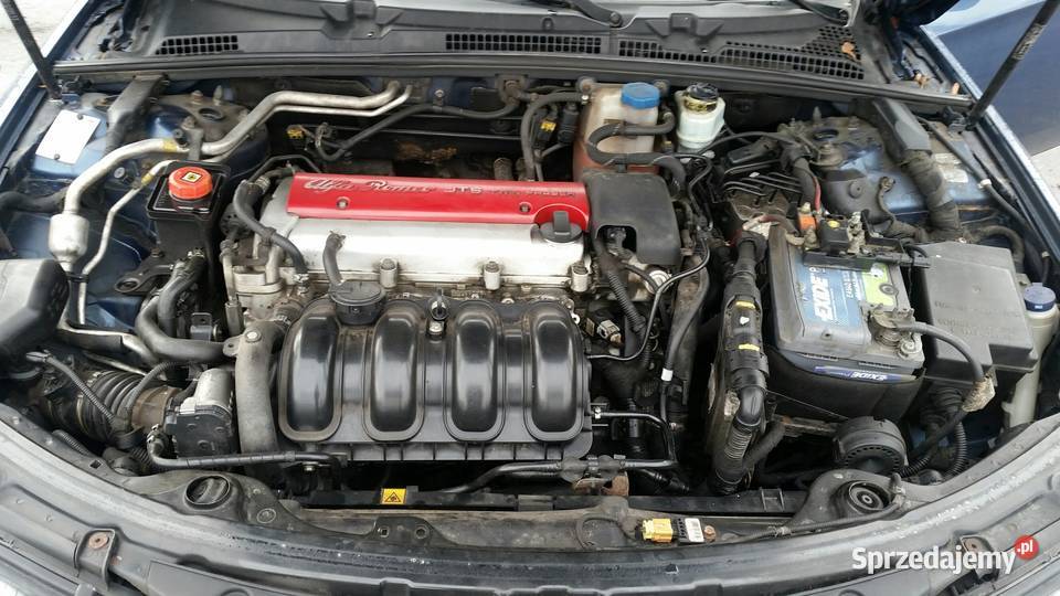 6000 TYLE ALFE Szczecin