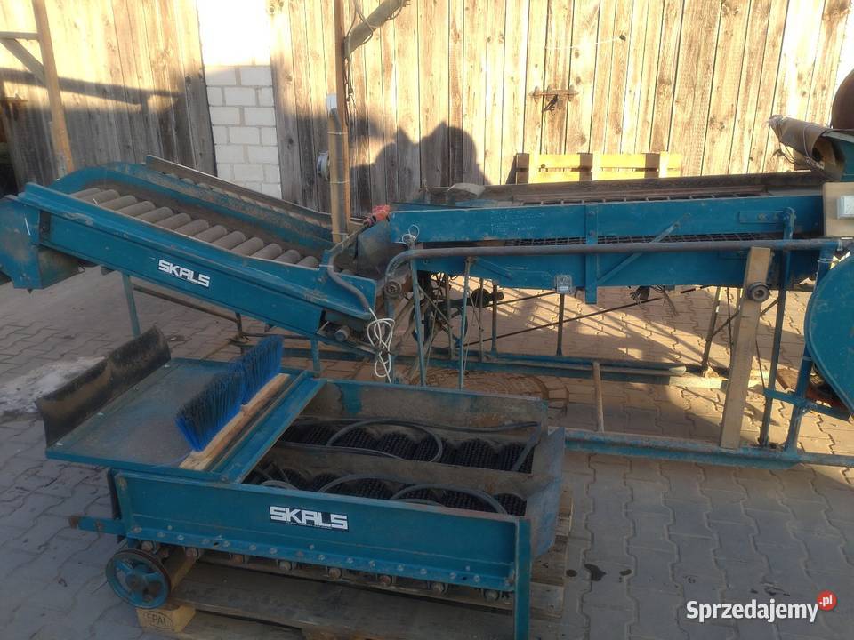 Sortownik do ziemniaków ze szczotkarką Skals łódzkie Sieradz