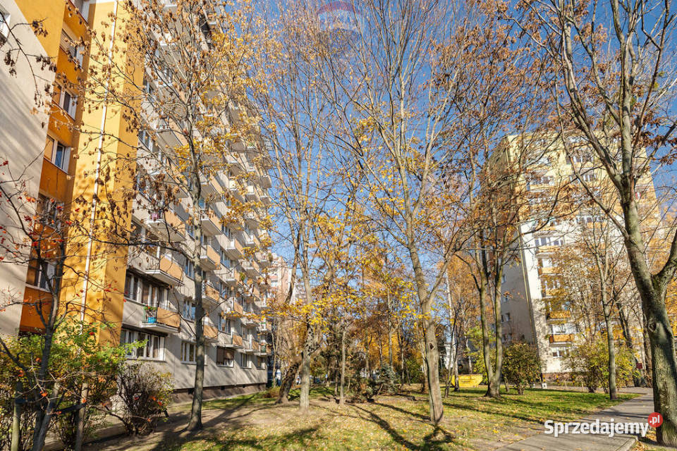 Dwupokojowe mieszkanie Głogowska Poznań