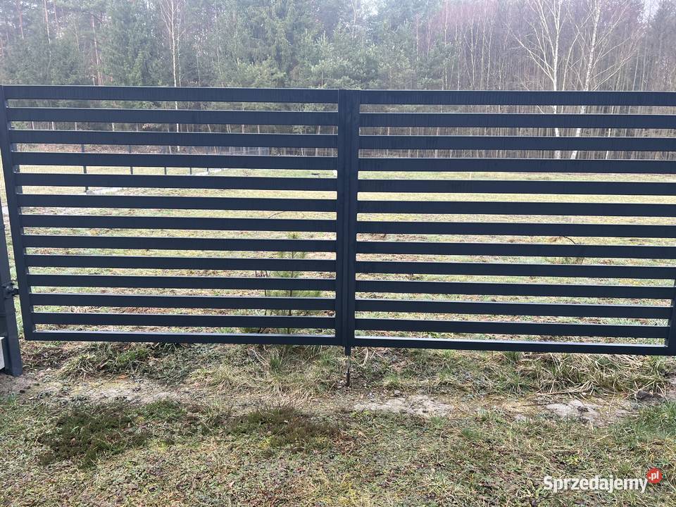 Ogrodzenia Montaż Dostawa 45 Libertów