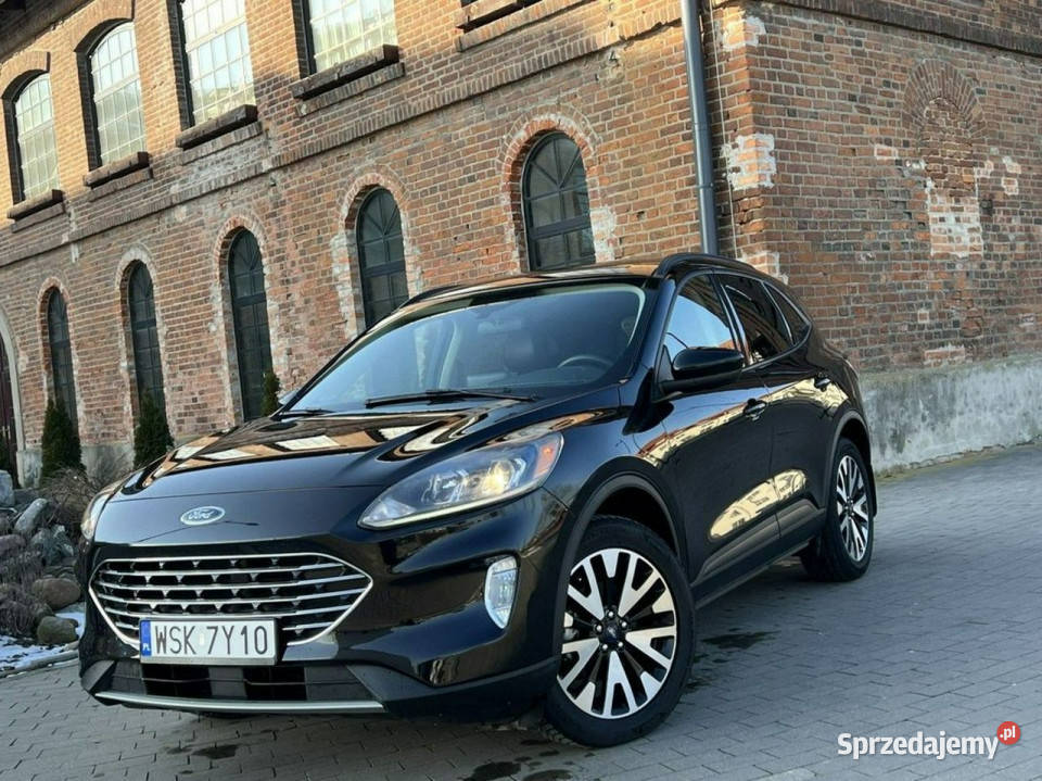 Ford Escape SE Sport Hybrid 25L iVCT Atkinson światła do jazdy dziennej