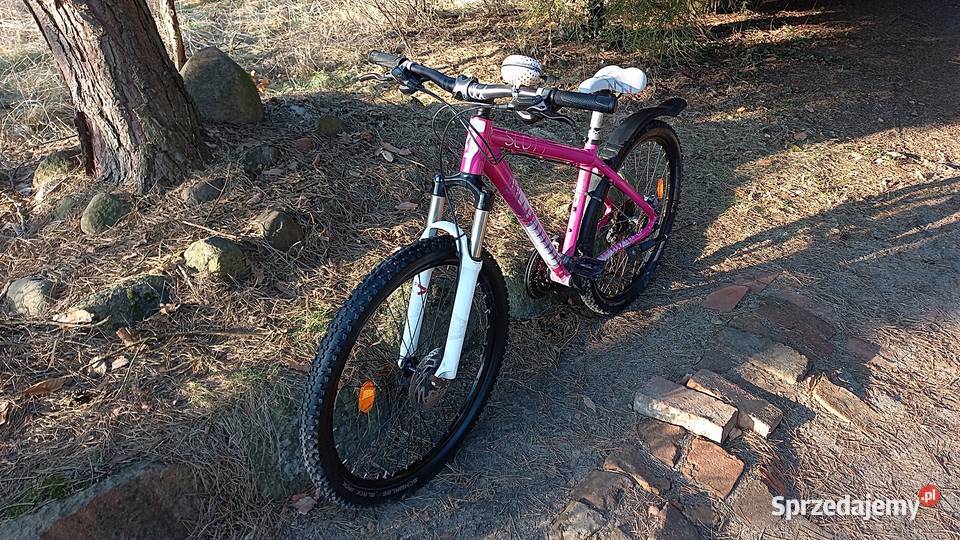 Alu Rower Górski Mtb Młodzieżowy Scott Contessa dolnośląskie