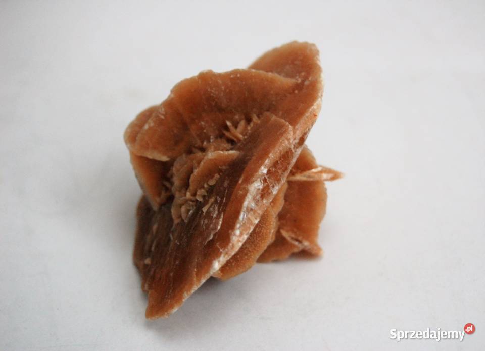 Róża pustyni kamień Sahara 83 Lublin