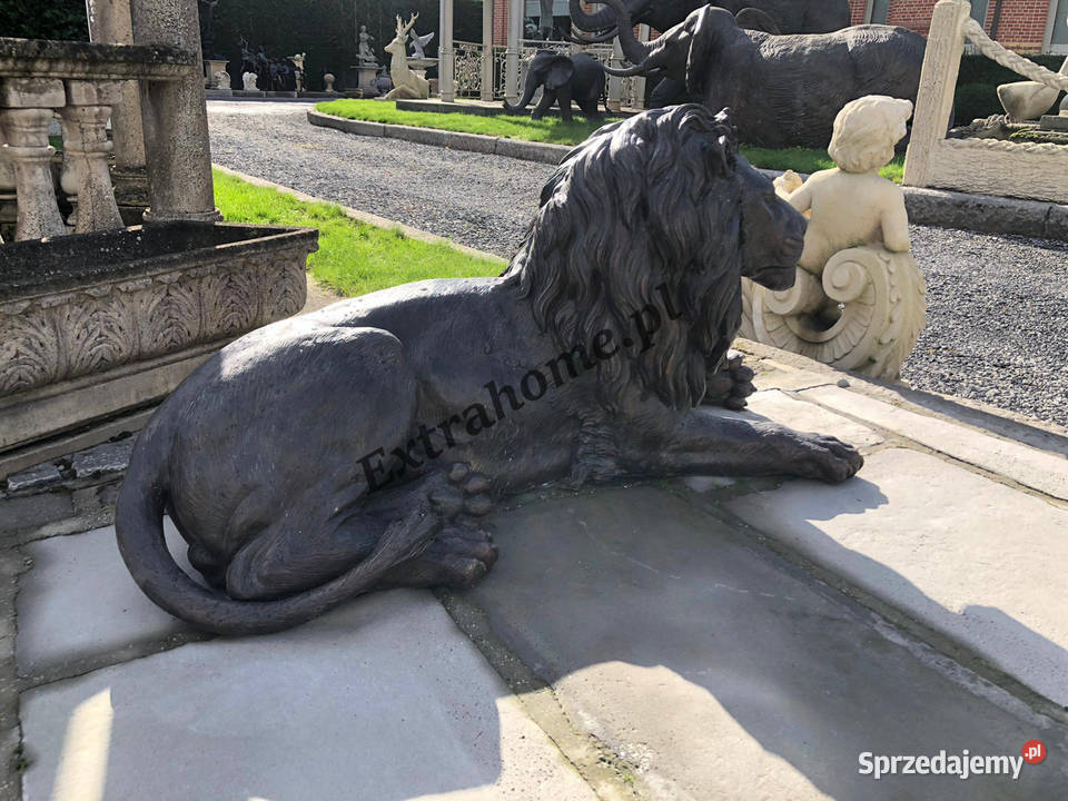 Król Lew Lew z brązu 145 figura z brązu Wrocław sprzedam