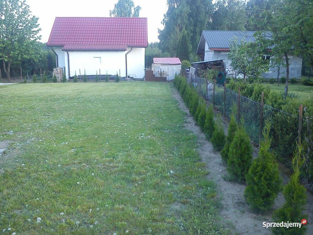 Działka rekreacyjna ROD Wudzyn Wudzyn