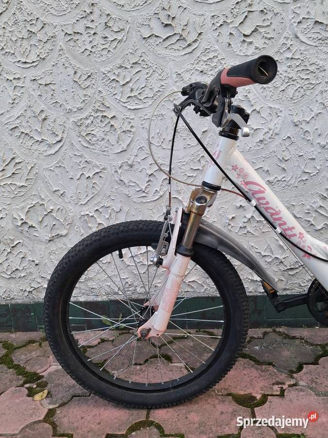 Rower dziecięcy 20 Rowerki