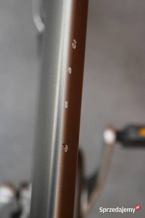 Rower męski Gazelle Paris D 57 I inne rowery z Milanówek