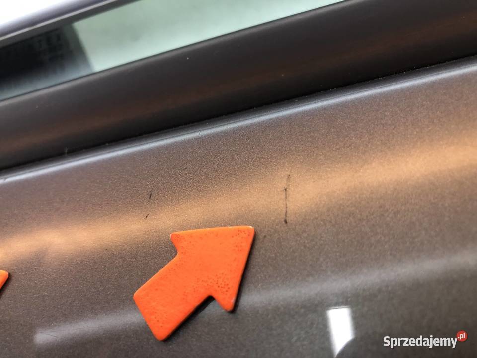 Renault Grand Scenic II 05r Drzwi prawe przód sprzedam