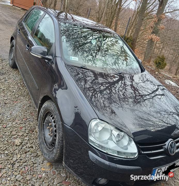 Sprzedam Golf V 19TDI 2004 Golf podkarpackie Jasło