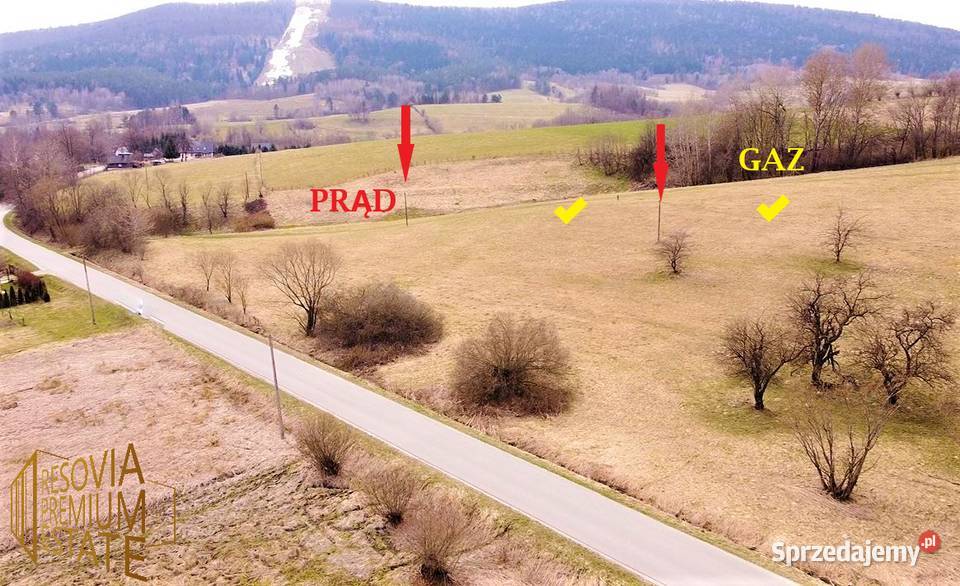 85ha koło Ustrzyk Dolnych 11 działek 8000ar Ustrzyki Dolne sprzedam