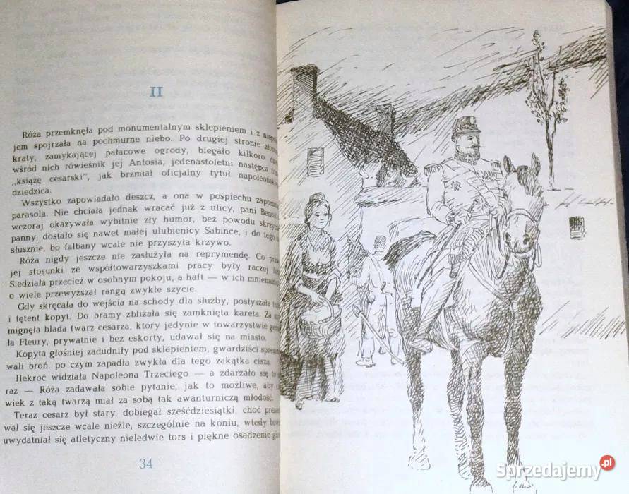 Talerz z Napoleonem Cz 1 Halina Popławska Chełm