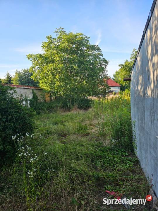 13 udzialu w domu z ogrodem Wrocław