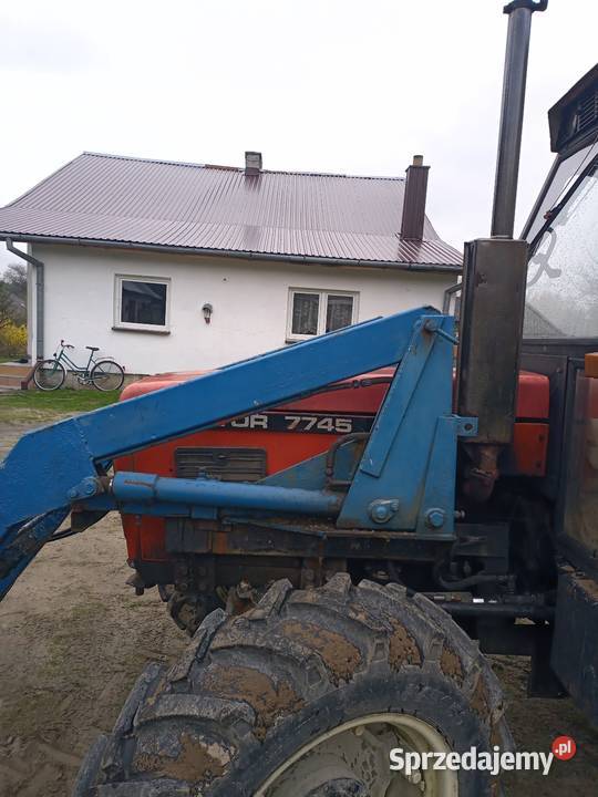Ciognik Tomaszów Lubelski