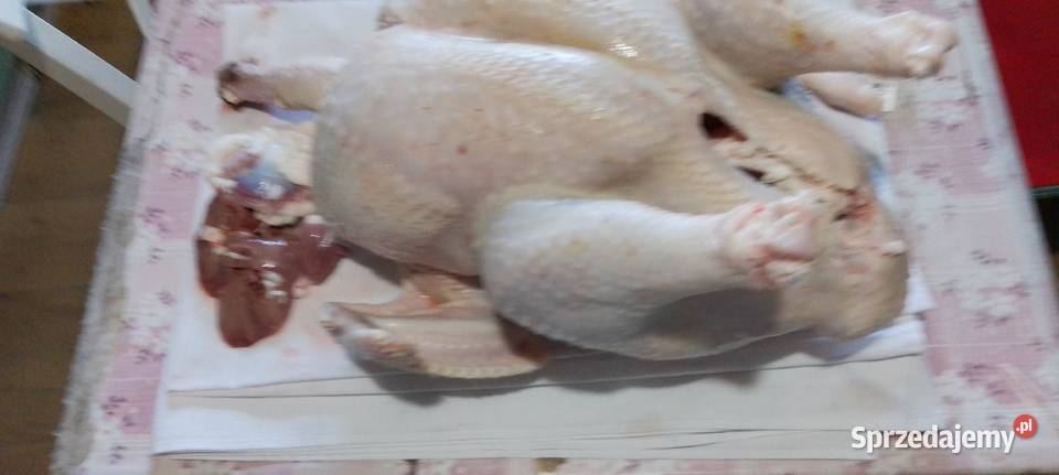Mam na sprzedaż tuszki kury rosołowej wielkopolskie Dolsk sprzedam