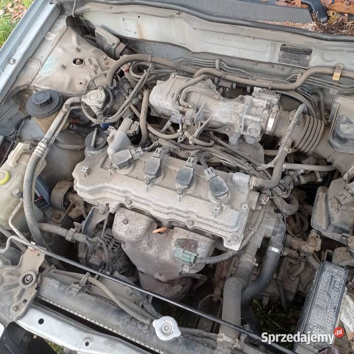 Do sprzedania Nissan Almera N16 18 manualna Żabia Wola