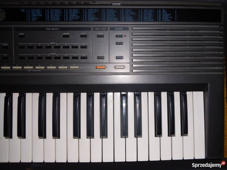 Roland e20 Siemiatycze