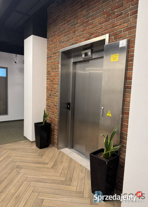 wynajmu lokalu 50m2 Warszawa biurowy