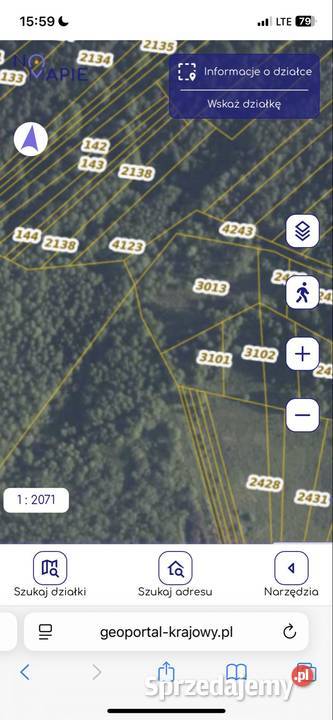 Działka leśna Świdno gm Krasocin 4654 m 22 000 5zł/m2 Włoszczowa sprzedam