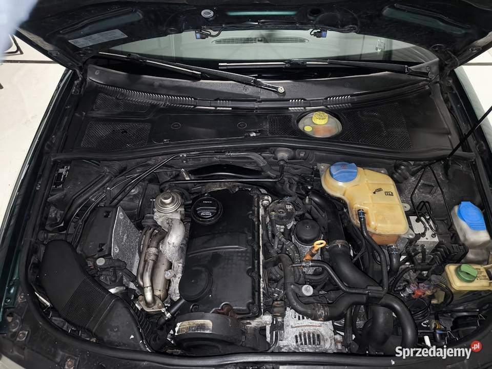 Audi a4 b5 19tdi zielony A4 Motoryzacja lubuskie