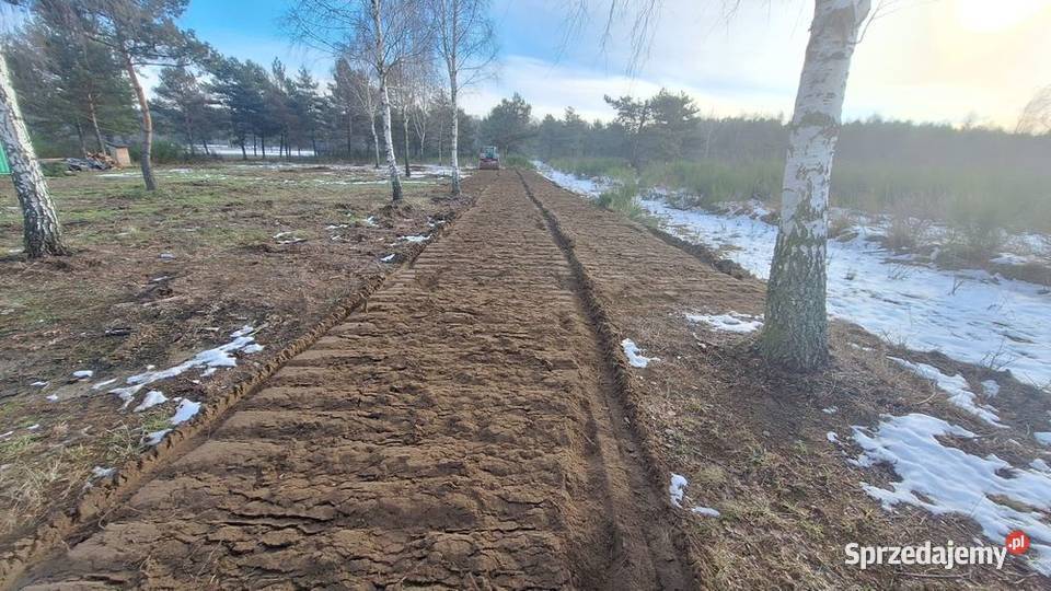 Mulczowanie wgłebne Czyszczenie działekWycinka podlaskie Łomża ogród