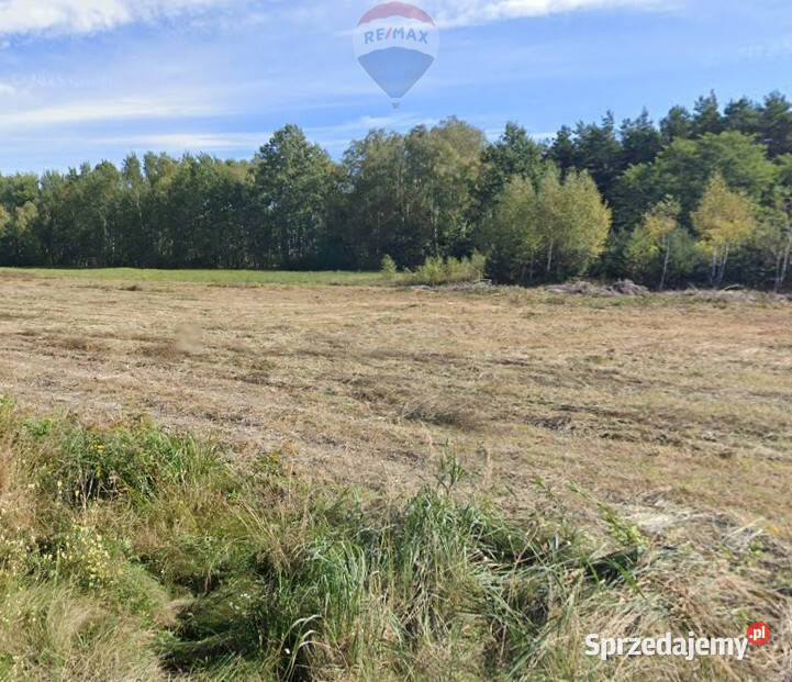 Działka siedliskowa w Pustelniku