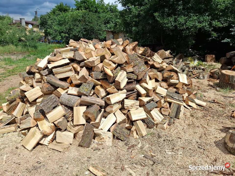 Drewno liściaste do kominka Kórnik sprzedam