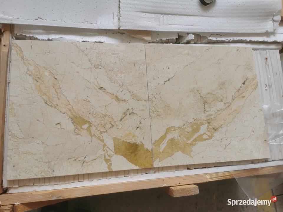 Marmur 40x40x13 Daino Reale Brecia Sarda Płytki Poskwitów