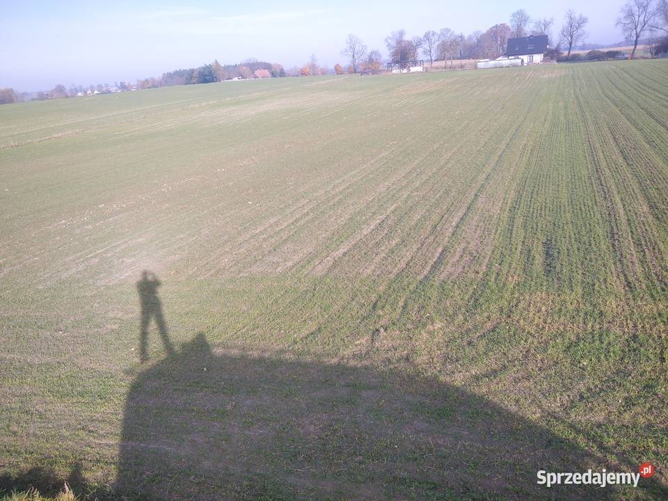 Dwie działki z warunkami zabudowy Bukowiec