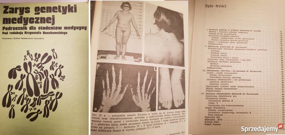 Zarys genetyki medycznej Boczkowski Kielce